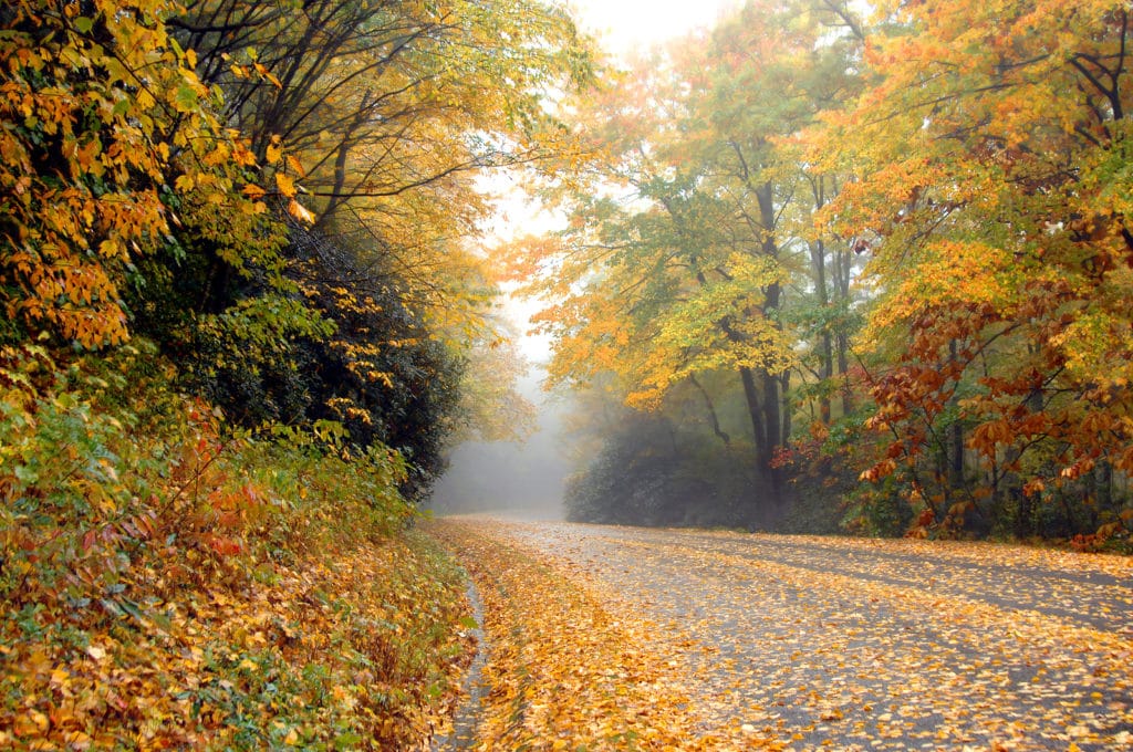 bigstock along the blue ridge parkway 5293263 1024x680