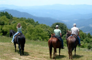 carters mountain view